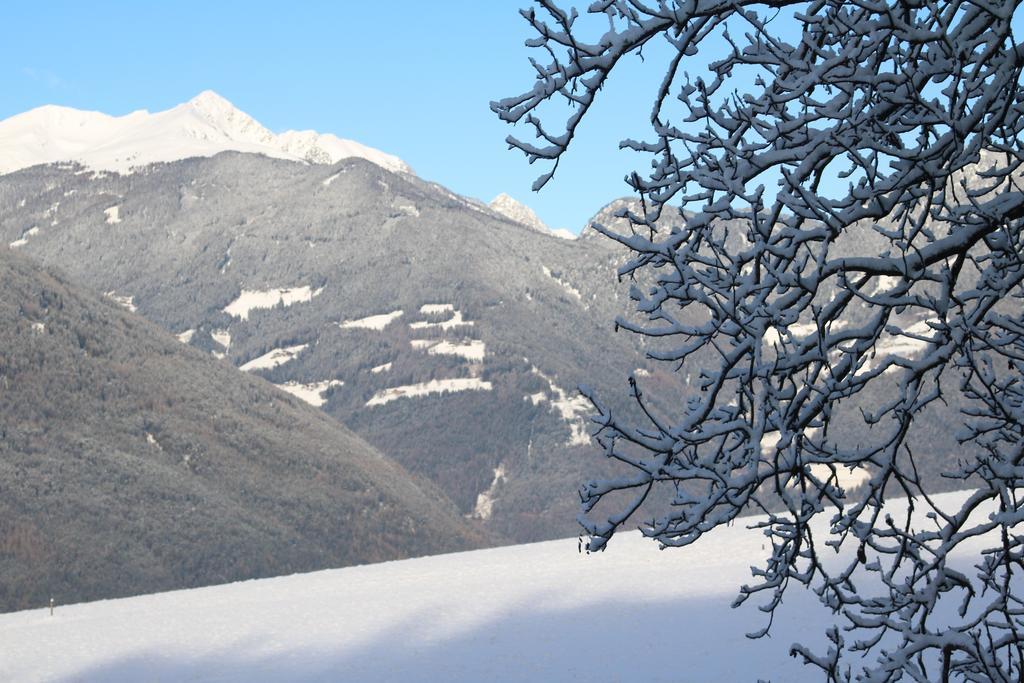 Alpin Lodge St. Andrae Bressanone Exterior foto